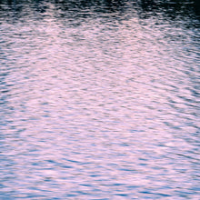 Load image into Gallery viewer, Photography by Ana Sosa that is a reflection of nature with pink and silver tones of the sunset over the lake
