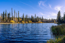 Load image into Gallery viewer, 8609051 Limited edition photograph, main picture, beautiful blue autumn sky at Aspen Mirror Lake. Landscape of yellow and blue colors