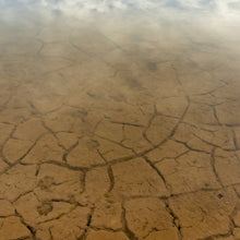 Load image into Gallery viewer, A photo that captures the poetry of nature's resilience and the timeless dance between land and water, by Ana Sosa