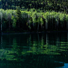Load image into Gallery viewer, A symphony where water and forest unite, inviting you to embrace the deep greens and tranquil reflections. Photography by Ana Sosa