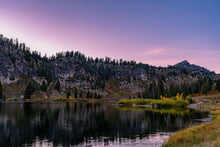 Load image into Gallery viewer, "'Rose Reflection' - Limited Edition Fine Art Print on Hahnemühle Photo Rag paper."