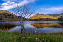 Load image into Gallery viewer, "Ephemeral Embrace at Porcupine Reservoir - Limited Edition Fine Art Print on Hahnemühle Photo Rag paper."