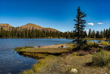 Load image into Gallery viewer, "'Nature's Harmony - Conifers and Blue Sky' - Limited Edition Fine Art Print on fine art paper."