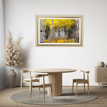 Load image into Gallery viewer, Aspens Yellow Fall - Digital Download - Ana.s.CameraWork