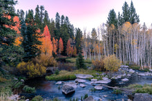 Load image into Gallery viewer, Aspen Mirror Lake Autumn's ends - Ana.s.CameraWork