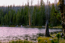 Load image into Gallery viewer, An image with a pink sunset reflected over Crystal Lake - Utah, downloadable with a user license. A contrasting pine forest in the background.