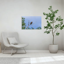 Load image into Gallery viewer, Metal prints - Sky Watcher – American Bald Eagle