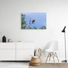 Load image into Gallery viewer, Metal prints - Sky Watcher – American Bald Eagle