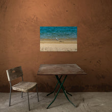 Load image into Gallery viewer, Metal prints - California Gull at Starvation Reservoir