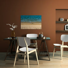 Load image into Gallery viewer, Metal prints - California Gull at Starvation Reservoir