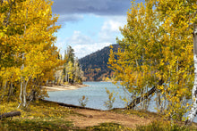 Load image into Gallery viewer, "Autumn's Tapestry - Limited Edition Fine Art Print on Hahnemühle Photo Rag paper."