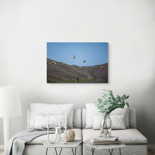 Load image into Gallery viewer, Metal prints - First Flight – Sandhill Cranes over Swaner Preserve