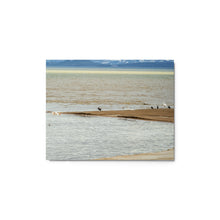 Load image into Gallery viewer, Metal prints - Elements in Harmony – Pelicans & Ducks at Bear Lake
