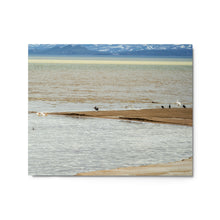 Load image into Gallery viewer, Metal prints - Elements in Harmony – Pelicans & Ducks at Bear Lake