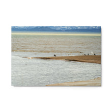 Load image into Gallery viewer, Metal prints - Elements in Harmony – Pelicans & Ducks at Bear Lake
