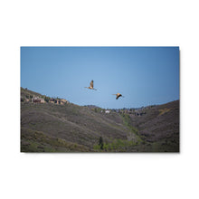 Load image into Gallery viewer, Metal prints - First Flight – Sandhill Cranes over Swaner Preserve