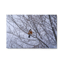 Load image into Gallery viewer, Metal prints - Spring Messenger – American Robin in the Snow
