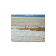 Load image into Gallery viewer, Metal prints - Elements in Harmony – Pelicans & Ducks at Bear Lake