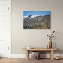 Load image into Gallery viewer, Metal prints - Morning Perch – Red-Winged Blackbird