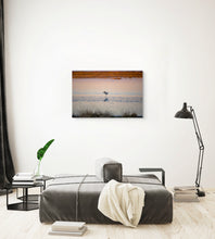 Load image into Gallery viewer, Metal prints - Solitary Grace at Sunset – American Avocet
