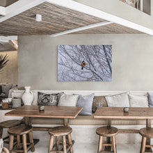 Load image into Gallery viewer, Metal prints - Spring Messenger – American Robin in the Snow