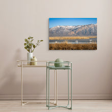 Load image into Gallery viewer, Swans in the Bear River Refuge - Utah - Ana.s.CameraWork