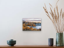 Load image into Gallery viewer, •	"’The Best Winter Colors’ 8" x 12" - Intimate beauty in the same setting as the previous, creating a harmonious atmosphere with nature's touch."