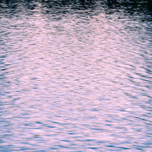 Load image into Gallery viewer, Photography by Ana Sosa that is a reflection of nature with pink and silver tones of the sunset over the lake
