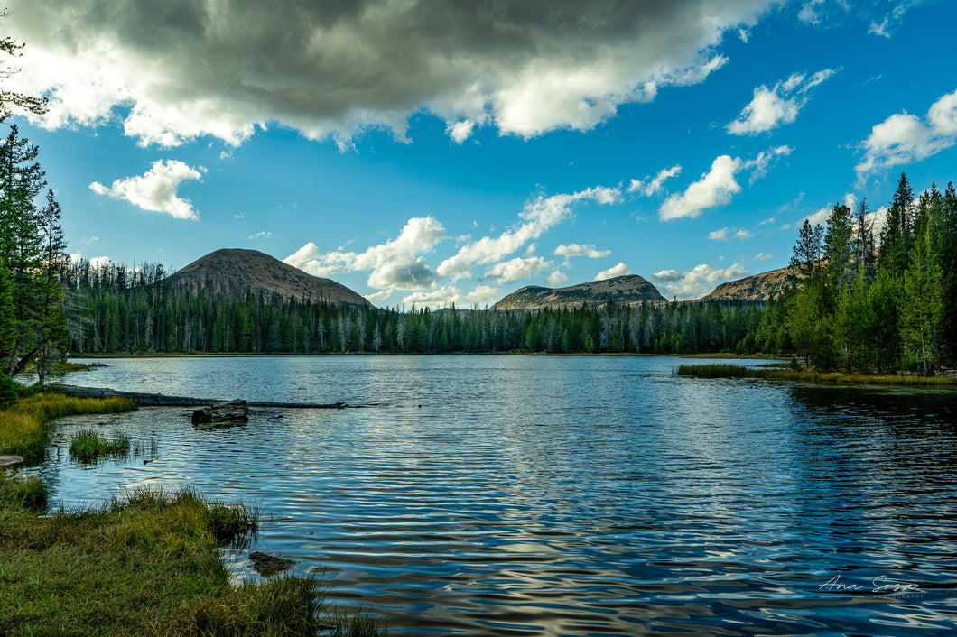 Digital download of Teapot Lake, surrounded of pines, blue sky reflection on the water. 