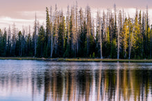 Load image into Gallery viewer, Crystal Lake - fall season. Ana Sosa photography
