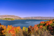 Load image into Gallery viewer, Fall season at Pineview Reservoir. Ana Sosa photography.

