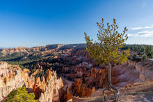 Load image into Gallery viewer, Hoodoos and The Tree - Digital Download
