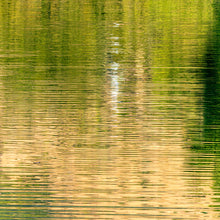 Load image into Gallery viewer, Ana&#39;s CameraWork image of water reflection in yellow and green tones, used in on-demand prints
