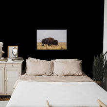Load image into Gallery viewer, Metal prints - Bison on a Rainy Day, Antelope Island

