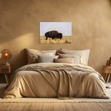 Load image into Gallery viewer, Metal prints - Bison on a Rainy Day, Antelope Island
