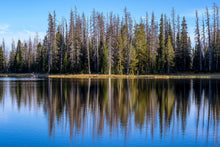 Load image into Gallery viewer, 8609050 Limited edition photograph, main picture, pine conifers and blue sky reflected over Crystal Lake, Utah.
