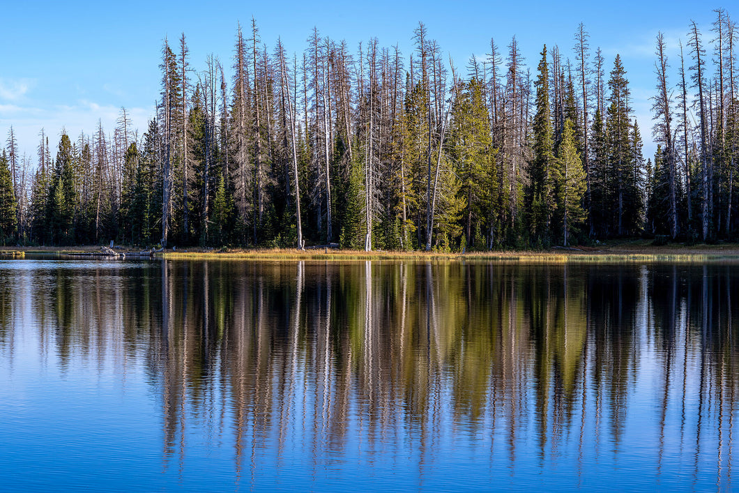 8609050 Limited edition photograph, main picture, pine conifers and blue sky reflected over Crystal Lake, Utah.