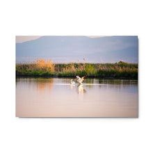 Load image into Gallery viewer, Metal prints - The Pelican’s Goodbye
