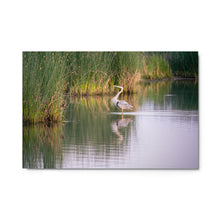 Load image into Gallery viewer, Metal prints - Blue Heron Landed

