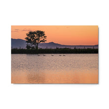 Load image into Gallery viewer, Metal prints - The Final Light
