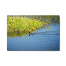 Load image into Gallery viewer, Metal prints - Perfect Environment to Live
