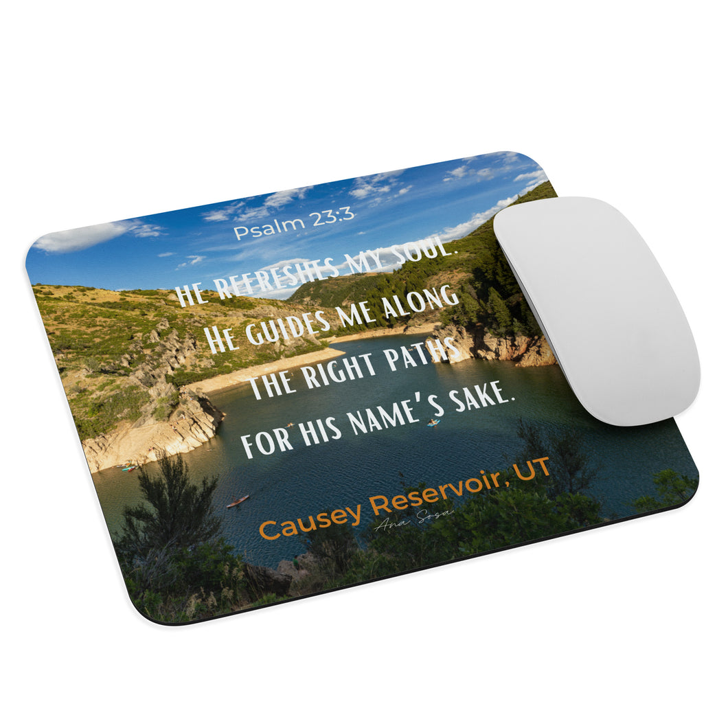 Mouse Pad, where each click takes you to the peaceful embrace of Causey Reservoir. The green landscape, the clear waters and the inspiring Psalm 23:3.