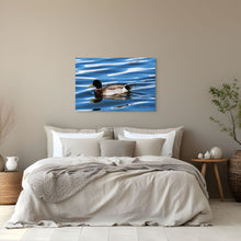 Load image into Gallery viewer, Metal prints - Quiet Waters – Mallard at Bountiful Lake.
