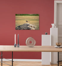 Load image into Gallery viewer, Metal prints - The Graceful Killdeer Bird
