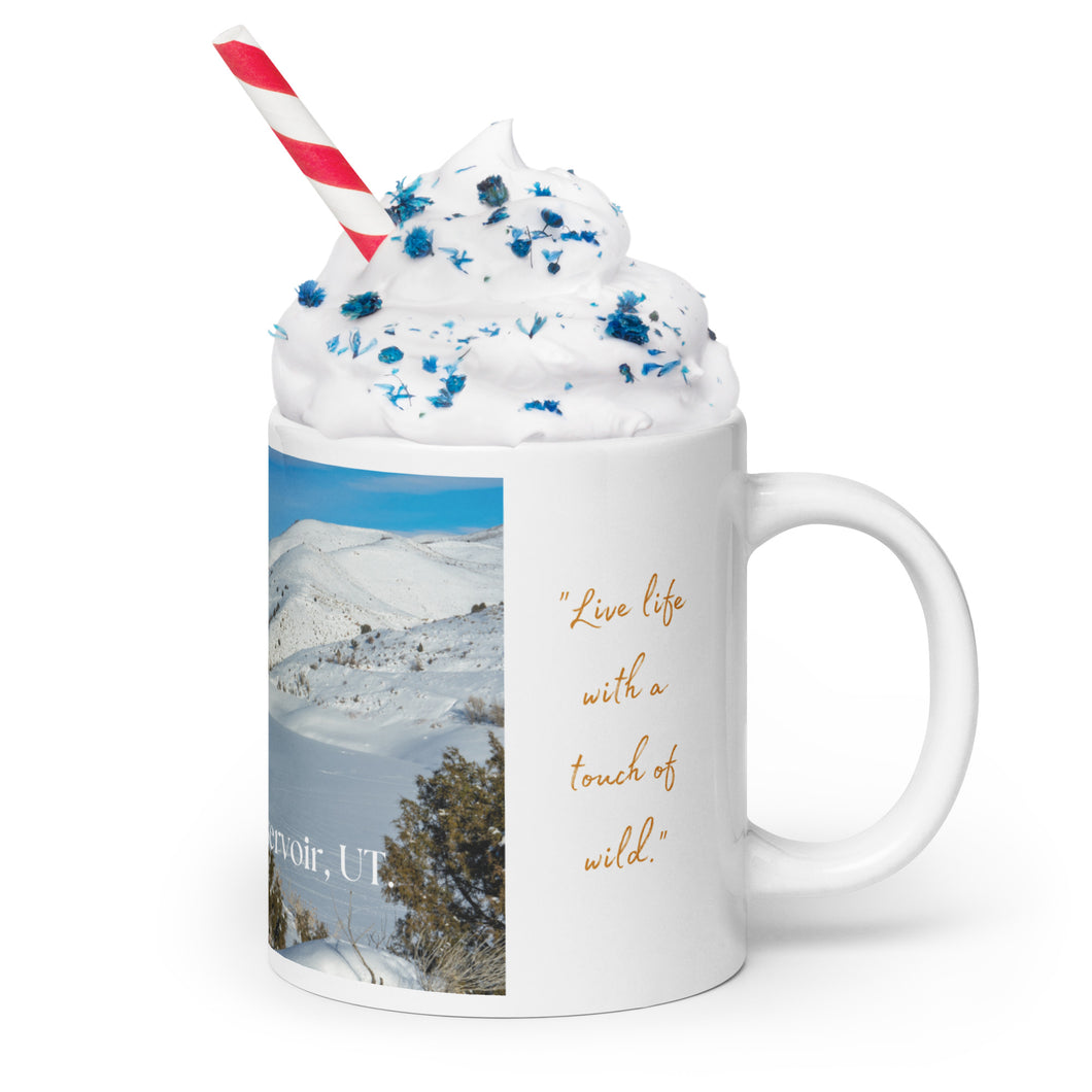 White glossy 20 oz mug with Lost Creek Reservoir image, handle on right.